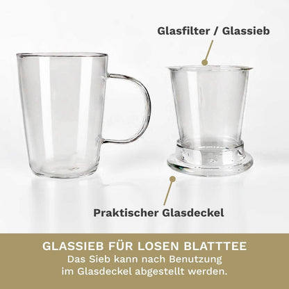 Creano theeglas 400 ml met glazen zeef en deksel