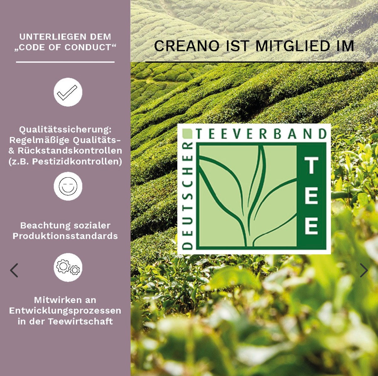 Geschenkset theepot 500 ml, 6 x zwarte thee