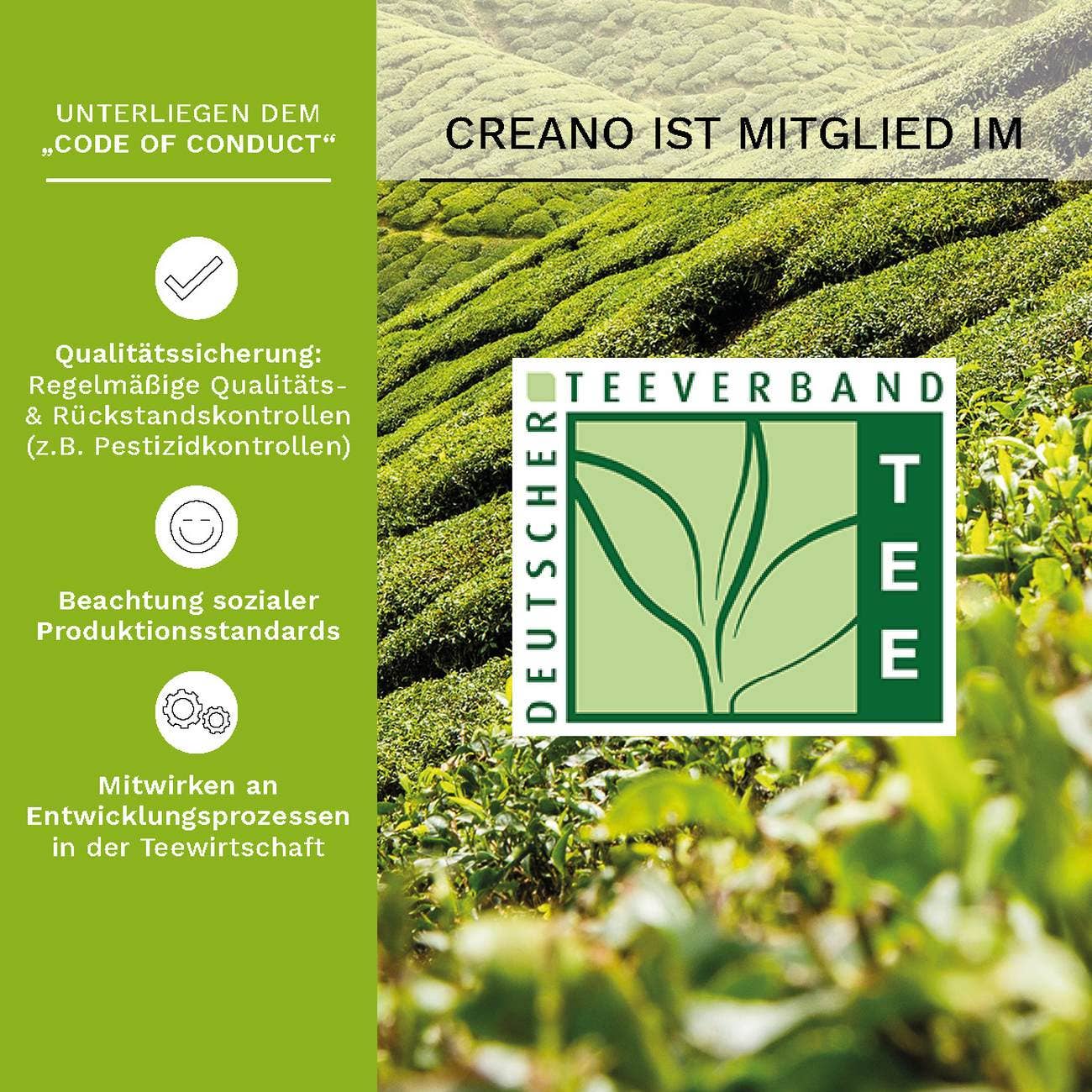 Magnetische doos met 6 bloemende groene theeballen