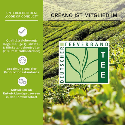 Magnetische doos met 6 bloemende groene theeballen